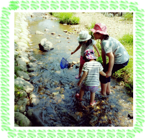 �c�A���摜�P