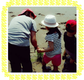 �c�A���摜�T