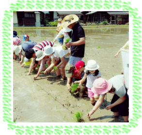 �c�A���摜�U