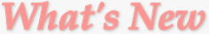 What's new(�V���j���[�X)